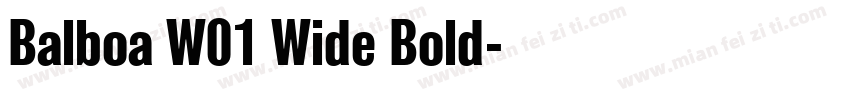 Balboa W01 Wide Bold字体转换